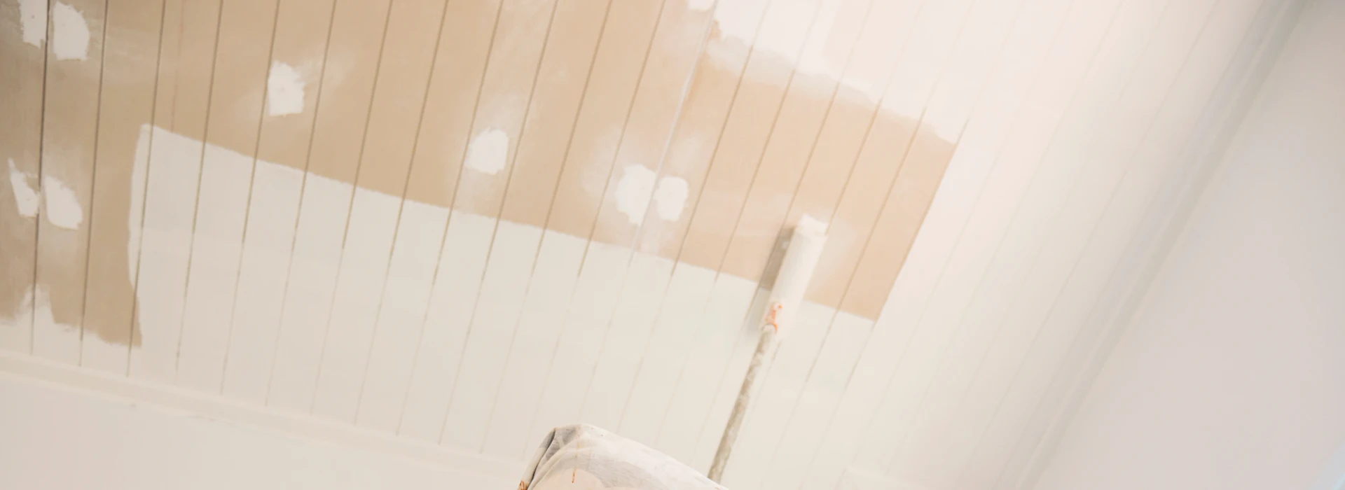 Painter & False Ceiling Services